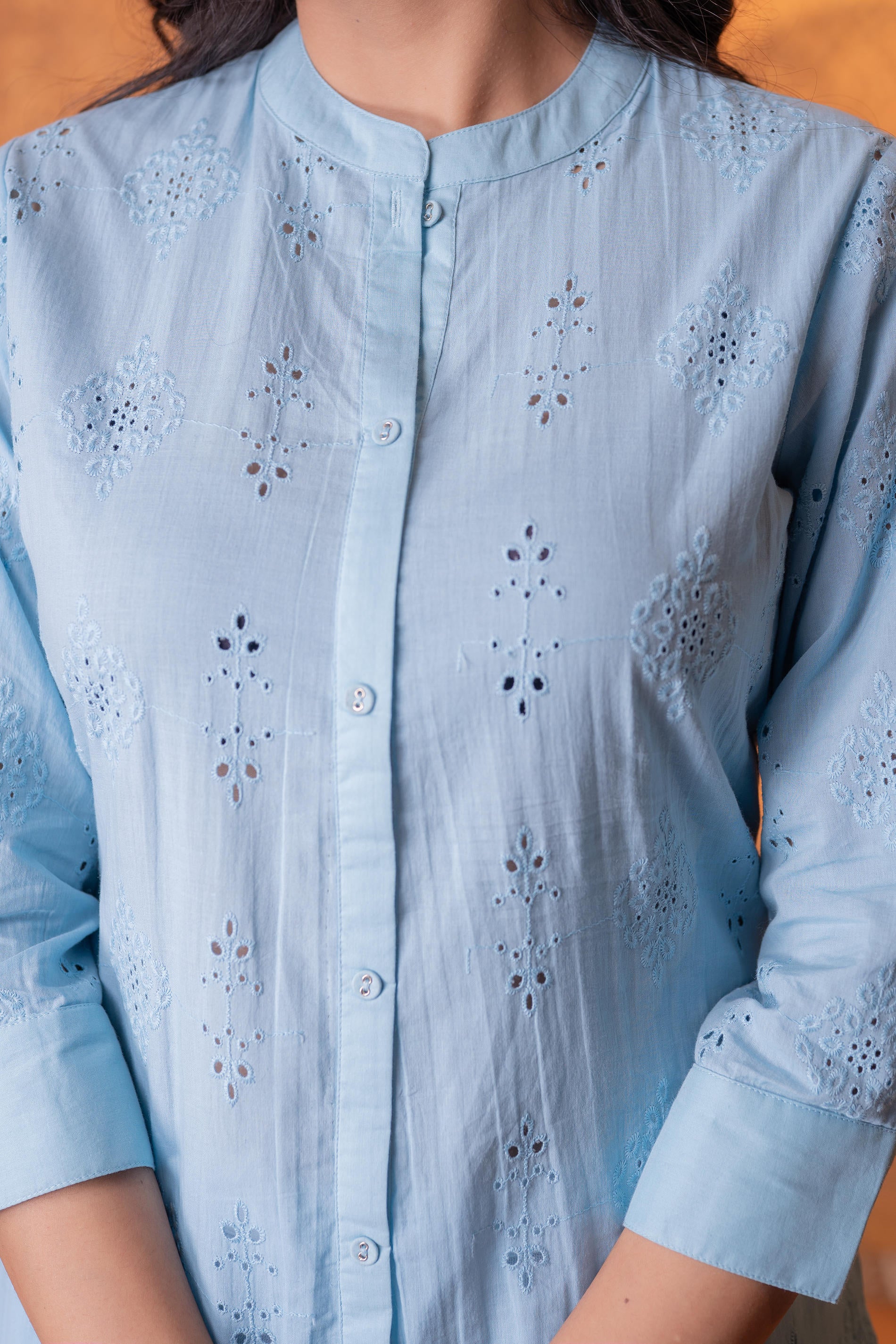 Sky blue  Chikankari Kurta